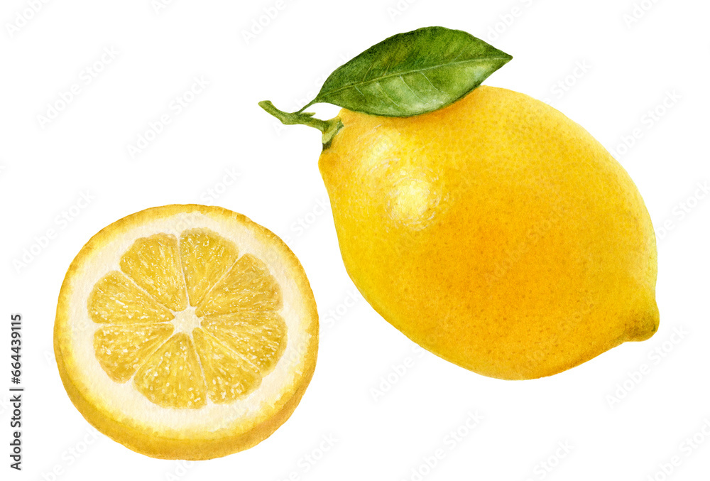 Close-up view watercolor illustration of a lemon, isolated on white background.