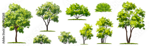 Vertor set of green tree,plants side view for landscape elevation,element for backdrop,eco environment concept design,watercolor greenery scene