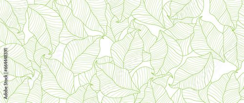 Tropical leaves wallpaper  luxury botanical nature leaf design  vector background with green leaf lines. Hand drawn  suitable for fabric design  print  cover  banner and invitations.