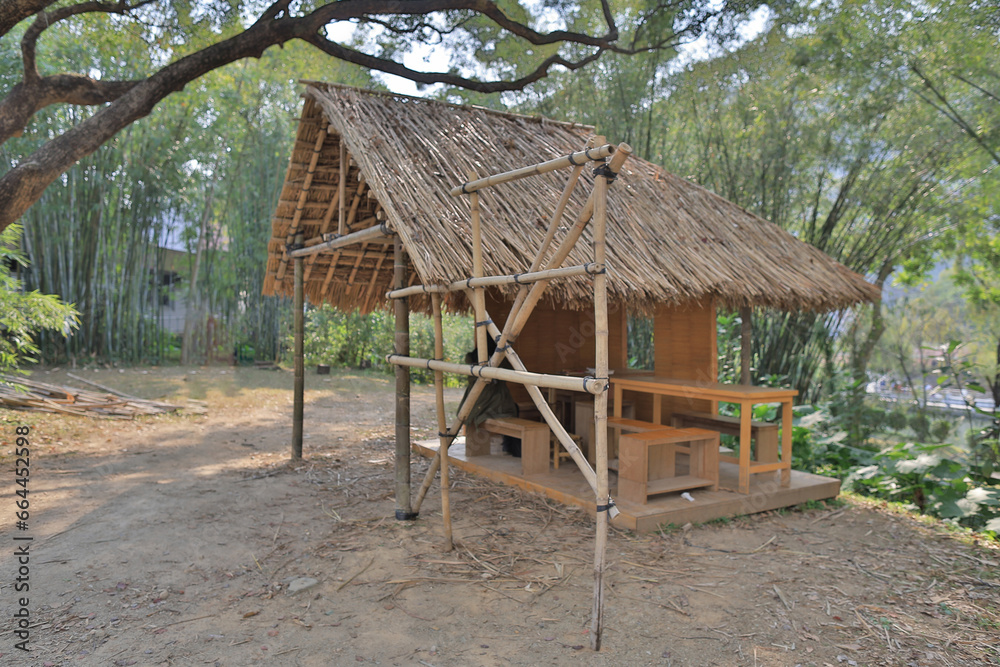 Feb 8 2015 making of bamboo house at the park