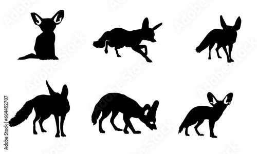 Fennec Foxes silhouettes