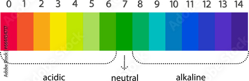 pH scale chart for acid and alkaline solutions. Acid-base balance infographic.