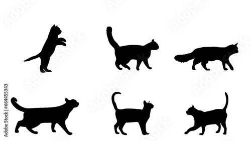 Fototapeta Naklejka Na Ścianę i Meble -  cat different poses silhouettes