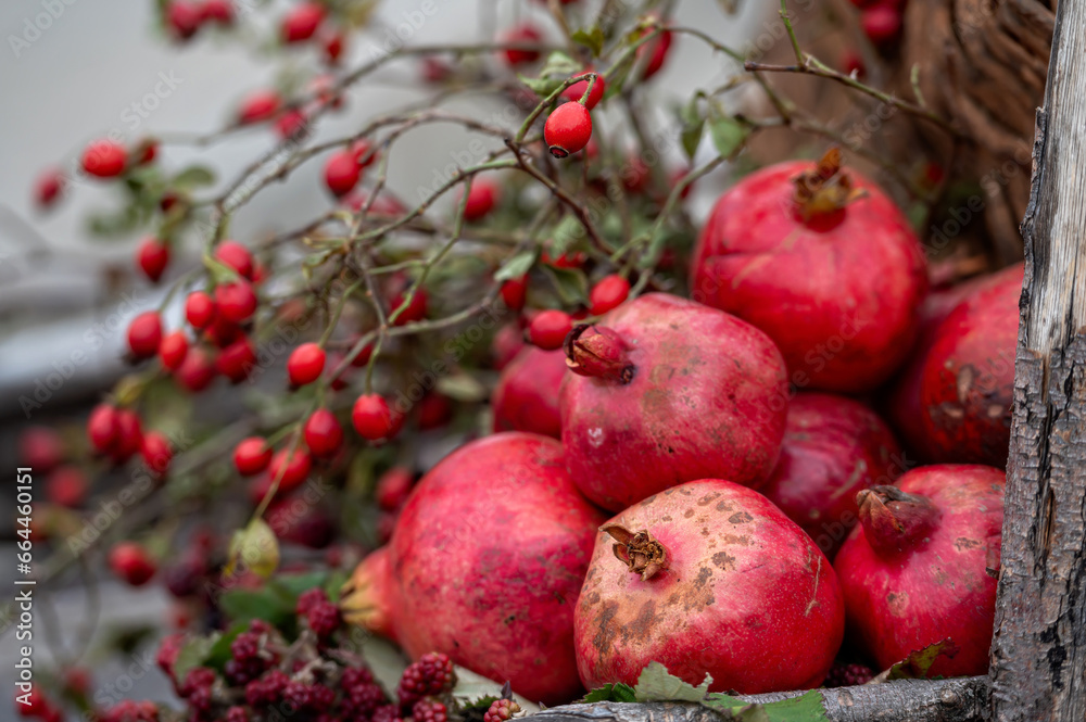 Pomegranate fruit on display at a farmers market in Georgia