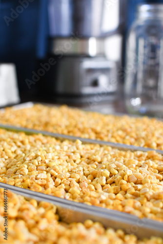 freeze dried corn on trays ready for storage photo