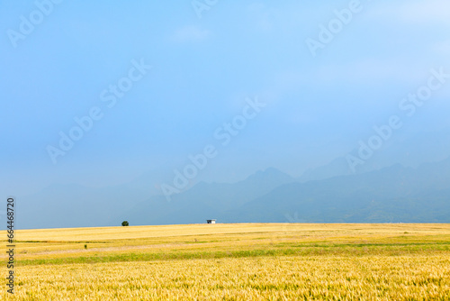 Shaanxi qinling mountain fields photo