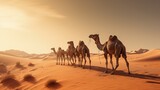 Group Of Camels walking in liwa desert in Abu Dhabi UAE