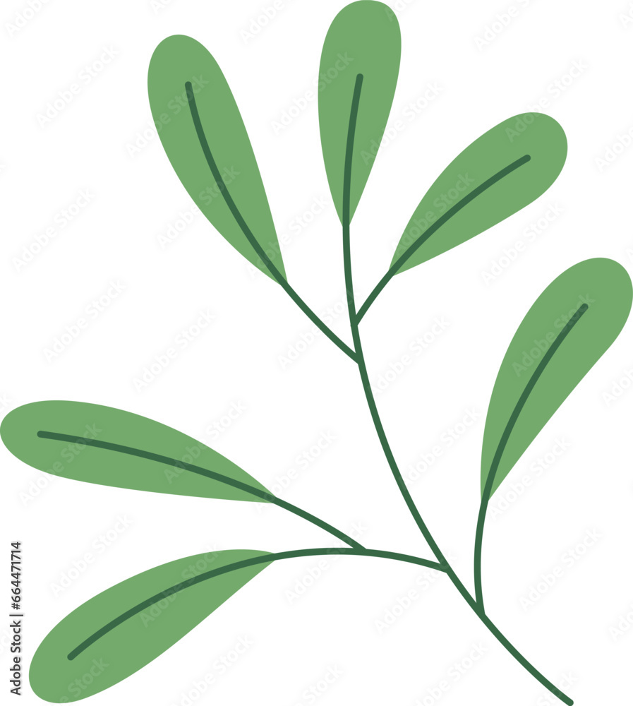 Obraz premium Christmas Floral Foliage Branch and Leaves