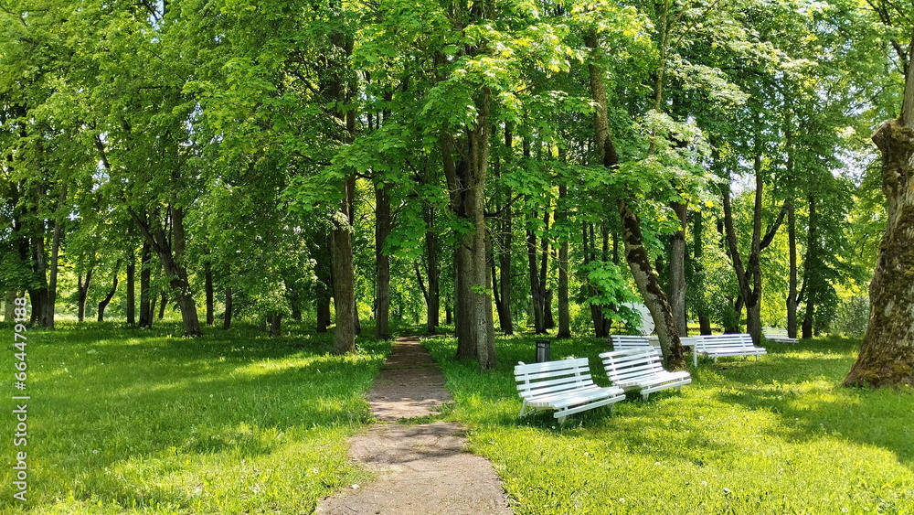 Summer landscape in a Belarusian park at the estate of Mikhail Oginsky with path and benches. Made on a mobile phone.	