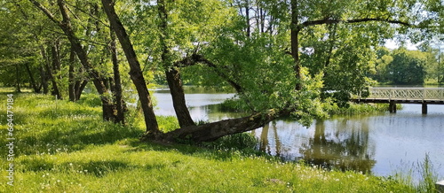 Fototapeta Naklejka Na Ścianę i Meble -  Summer landscape with a flowing river  in the park at the estate of Mikhail Oginsky in Belarus Grodno region. Made on a mobile phone.	