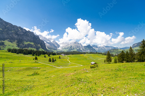 Photos Verdant Alpine Meadow with a Scenic Path in Grindelwald, framed by the majestic Swiss mountain landscape