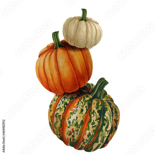 Watercolor stack of orange, white and striped pumpkins.