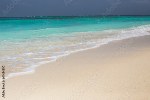 Beautiful beach at Zanzibar. Paradise beach with blue water in Kendwa village, Zanzibar, Tanzania