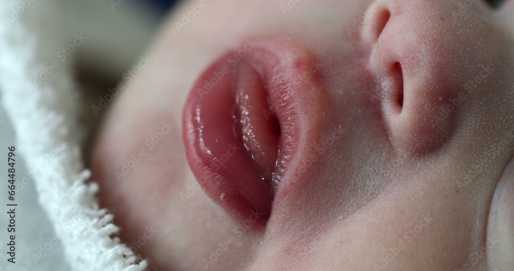 closeup of newborn baby mouth in macro
