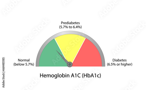 Hemoglobin A1C, HbA1c test , HbA1c levels, Glucose sticks to hemoglobin, glycated hemoglobin, up to 120 days. A1C Blood Sugar Test, Diabetes Mellitus, Infographic, Vector illustration.