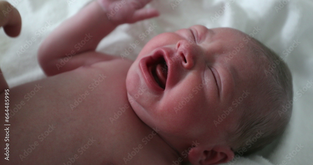 Crying newborn baby at hospital, first hours of life Crying newborn baby at hospital, first hours of life
