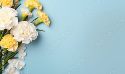 Close-up of yellow and white carnations, representing love and fascination, beautifully juxtaposed.