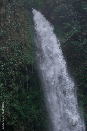 Tropical waterfall in Asia in the wild jungle on the island of Bali