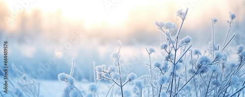 Frozen snowy grass, winter natural abstract background. beautiful winter landscape. © MDBaki