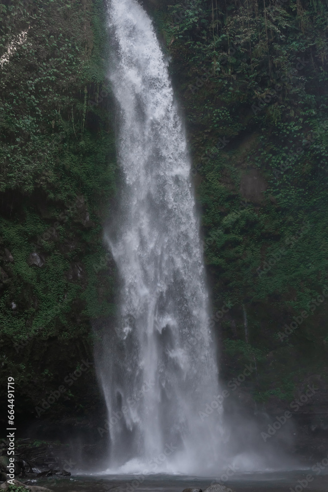 Tropical waterfall in Asia in the wild jungle on the island of Bali