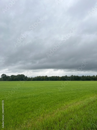 cloudy sky at the green field in the village, summertime