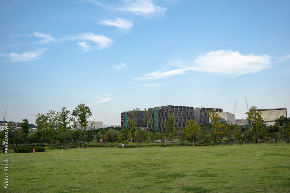 Fototapeta premium view of the park