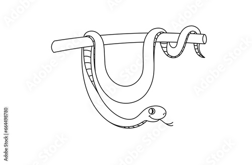 Tropical snake for a coloring book. Educational game for children.