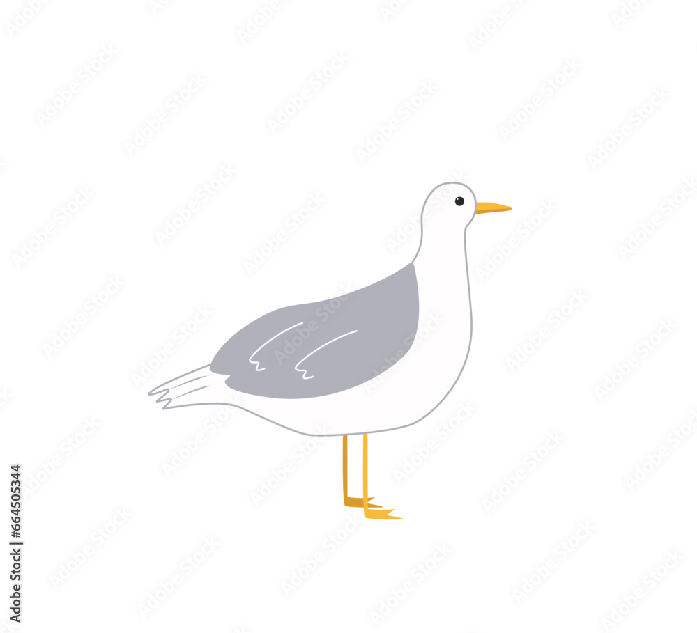 Obraz premium Cute cartoon seagull. Vector illustration sea bird. Funny character isolated on a white background.