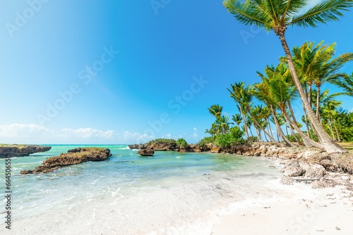 Fototapeta Naklejka Na Ścianę i Meble -  Sand and palm trees in bas du Fort shore in Guadeloupe