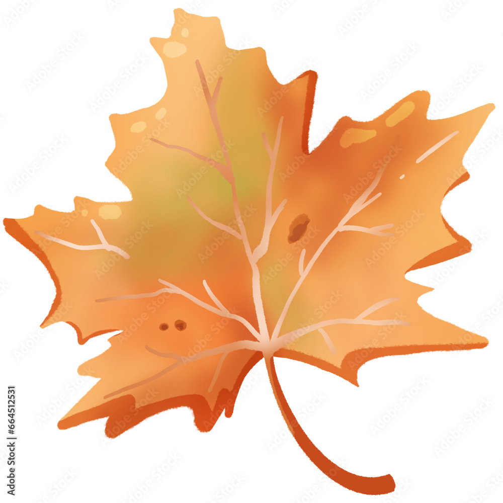 Fototapeta premium maple1