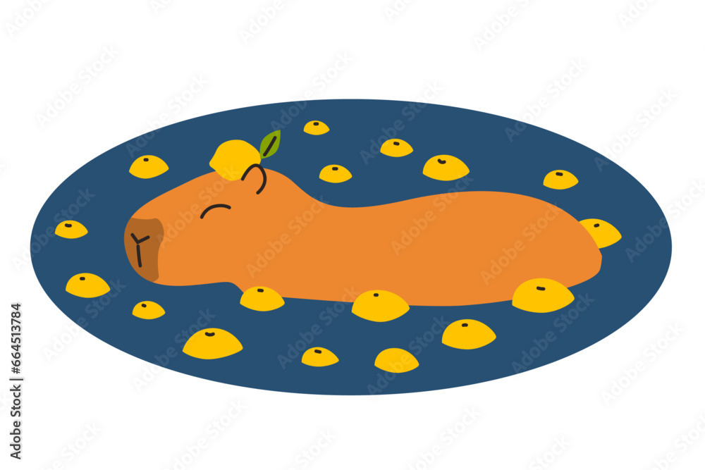 Happy capybara in the water with oranges. Vector flat illustration isolated on white background. Cute animal sticker. Happy capybara in the water with oranges. Vector flat illustration isolated on white background. Cute animal sticker.