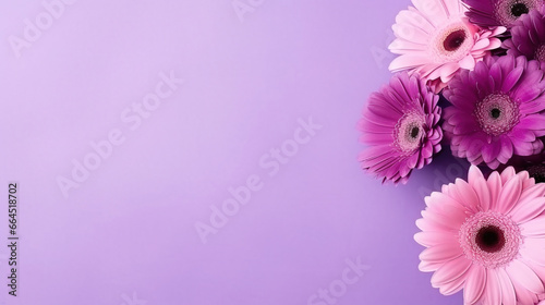 minimalistic purple background with gerberas, top view with empty copy space