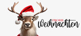 Frohe Weihnachten Konzept Grußkarte mit deutschem Text - Cooles Rentier mit Nikolausmütze oder Weihnachtsmannmütze, isoliert auf weißem Hintergrund