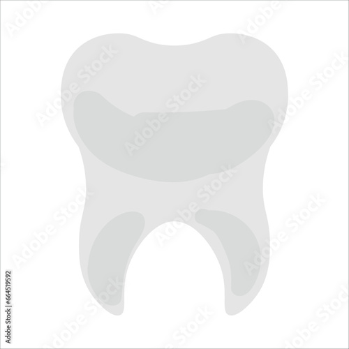 Human tooth on white background