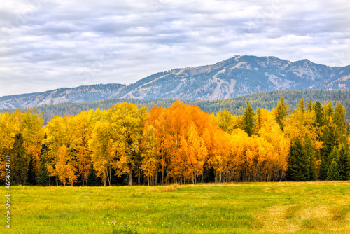 Autumn scene of a field, colorful trees, and a mountain with Whitefish Mountain Ski Resort on its slopes.
