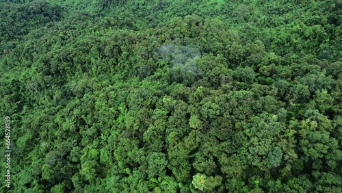 Aerial drone shot over primary Jungle tropical rain forest in Nan, Thailand. Aerial view, moving over a rainforest tree canopy in a slow pace beautiful green nature background of a tropical forest. photo