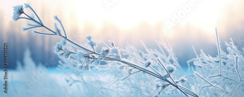 Frozen snowy grass, winter natural abstract background. beautiful winter landscape. © Md