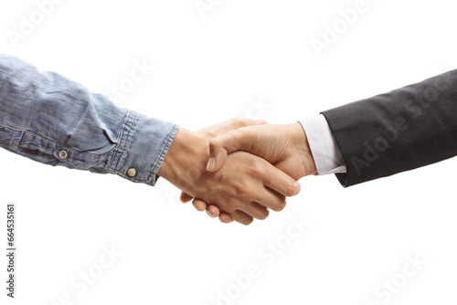 Salesman shaking hands with a customer