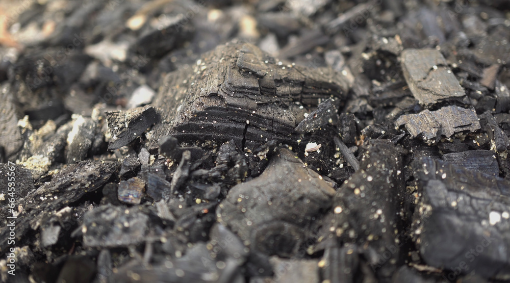 coal coal