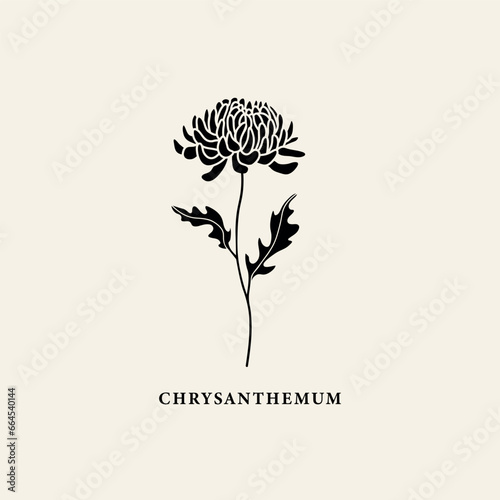 Flat vector chrysanthemum flower illustration