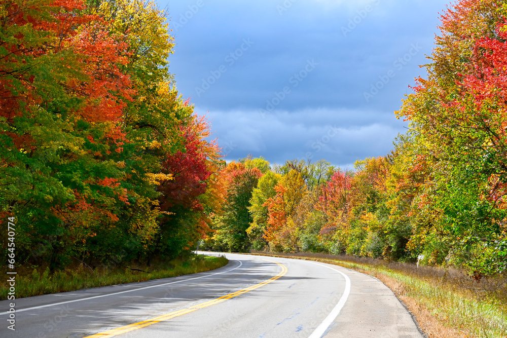 road in autumn road in autumn