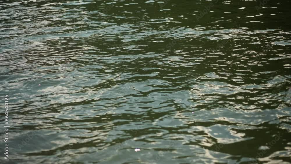 Rippling lake surface with small waves view from sailing boat closeup. River water on calm summer day during motorboat trip. Recreational time in nature Rippling lake surface with small waves view from sailing boat closeup. River water on calm summer day during motorboat trip. Recreational time in nature