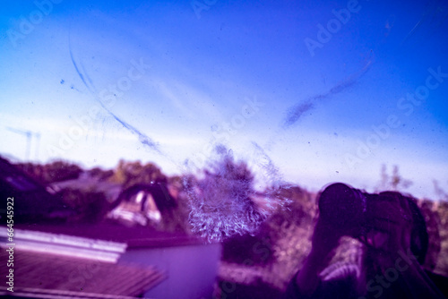 Bird collision mark with feather imprint on window glass against outdoor background. Close up abstract texture photography. Bird strike and wildlife conservation concept. Design for poster, banner, ca