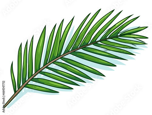 Doodle Palm branch with leaves, cartoon sticker, sketch, vector, Illustration, minimalistic