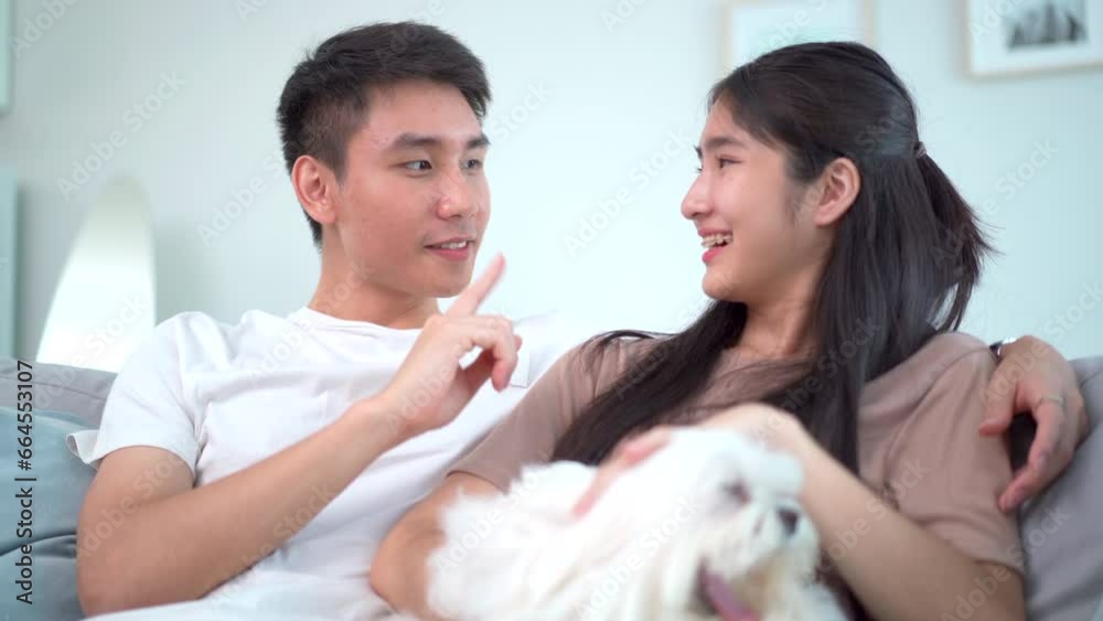 Lovely Asian young couple relaxing together in living room with a pet, Maltese dog, and watching TV. Modern couple lifestyle activities concept. Lovely Asian young couple relaxing together in living room with a pet, Maltese dog, and watching TV. Modern couple lifestyle activities concept.