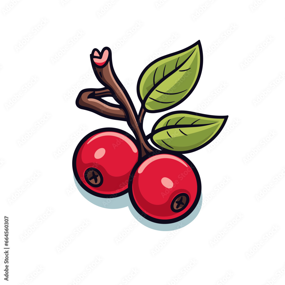 Obraz premium Isoled fruit vector cranberry in white background