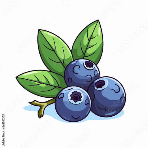 Isoled fruit vector blueberry in white background