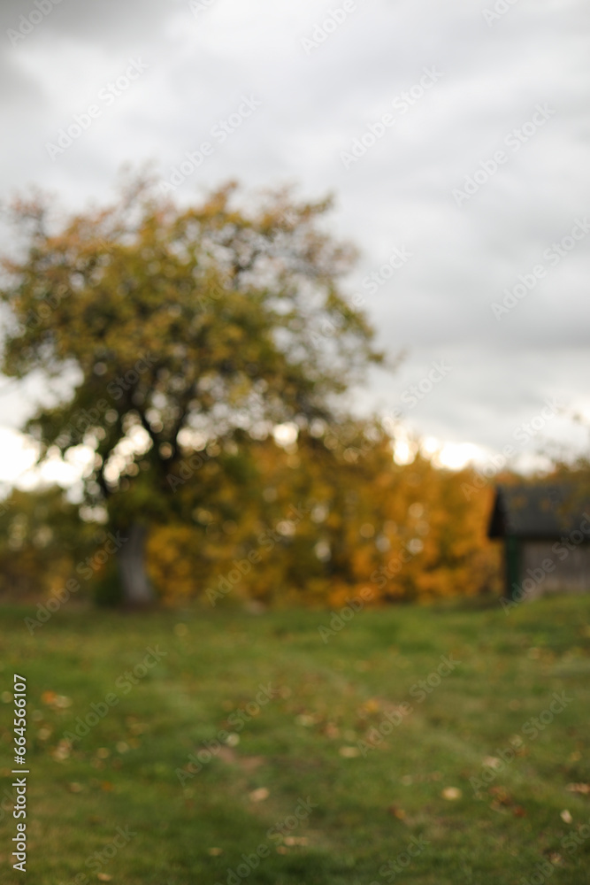 Naklejka premium Autumn banner natural blurred background. Fall concept field defocused wallpaper. Panoramic sunset view. scenic image of picturesque rural nature in countryside in autumn.