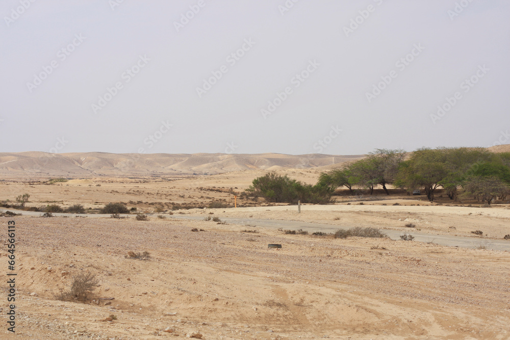 Open Negev Desert in South Israel. Sand dunes with dry air on a summer day. Open Negev Desert in South Israel. Sand dunes with dry air on a summer day.