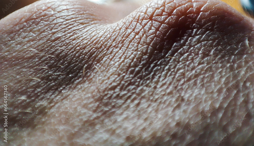 Macro photography of a human hand showing detailed skin texture. Stock ...